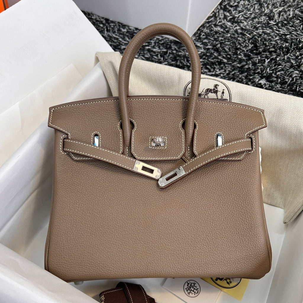 Hermes Birkin 25cm Brown Togo Leather Silver Hardware Bag