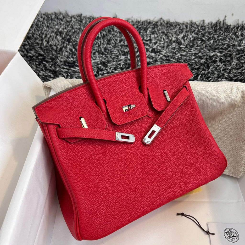 Hermes Birkin 25cm Red Togo Leather Silver Hardware Bag