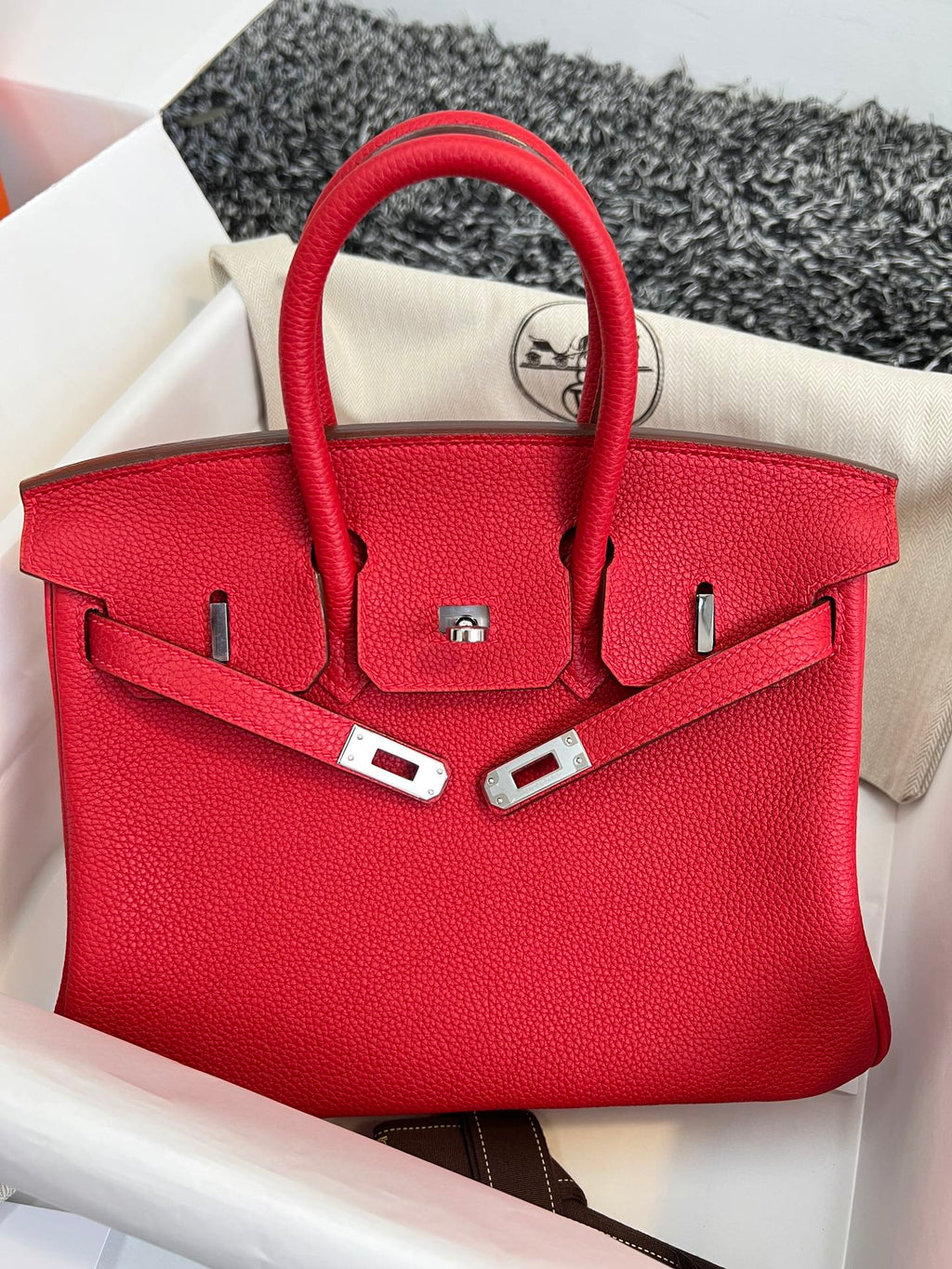 Hermes Birkin 25cm Red Togo Leather Silver Hardware Bag