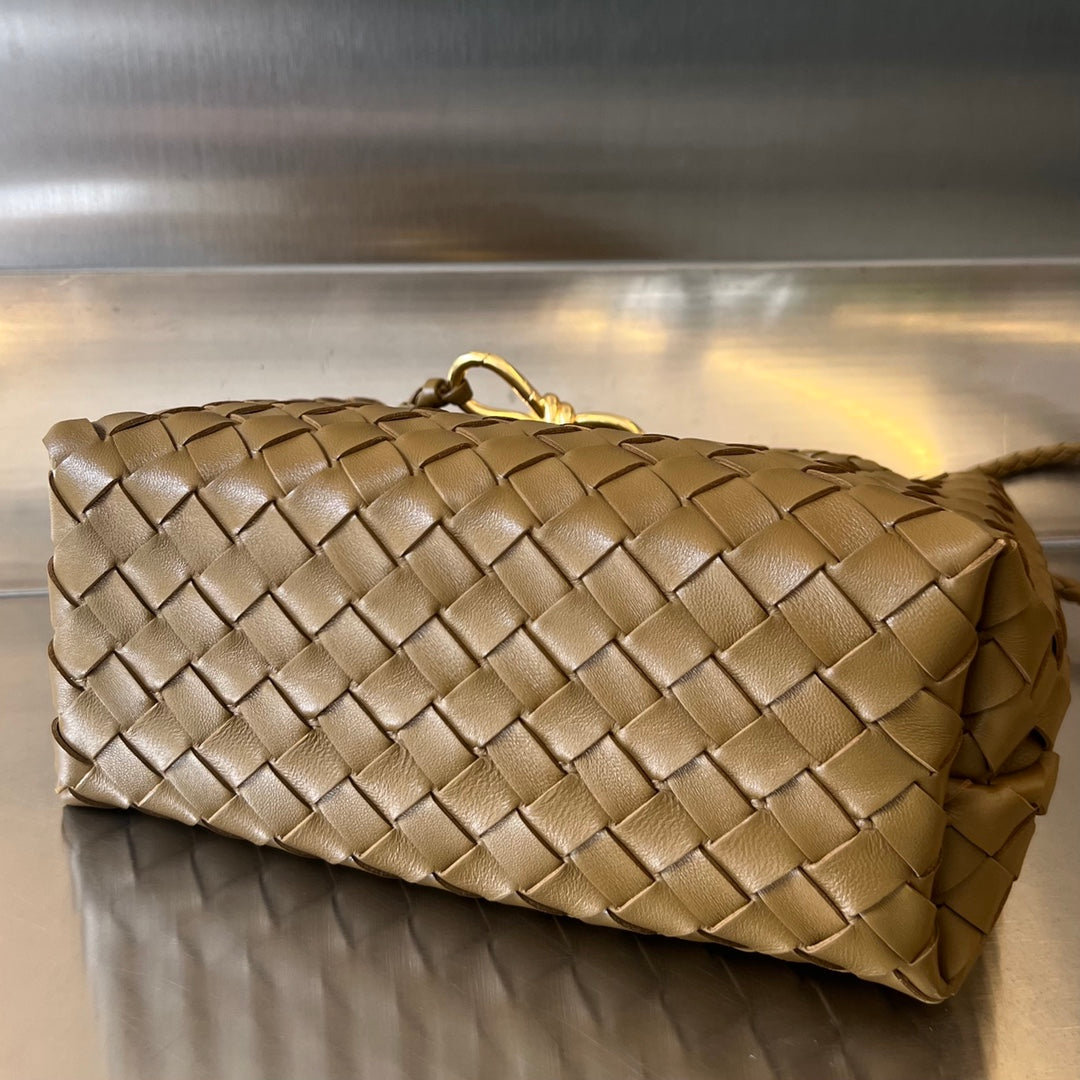 Bottega Veneta Small Andiamo 25cm Brown Lambskin Bag