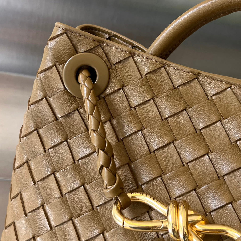 Bottega Veneta Small Andiamo 25cm Brown Lambskin Bag