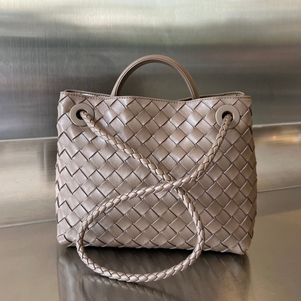 Bottega Veneta Small Andiamo 25cm Chocolate Lambskin Bag