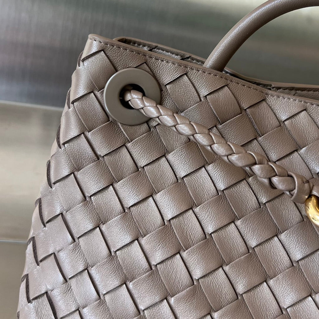 Bottega Veneta Small Andiamo 25cm Chocolate Lambskin Bag