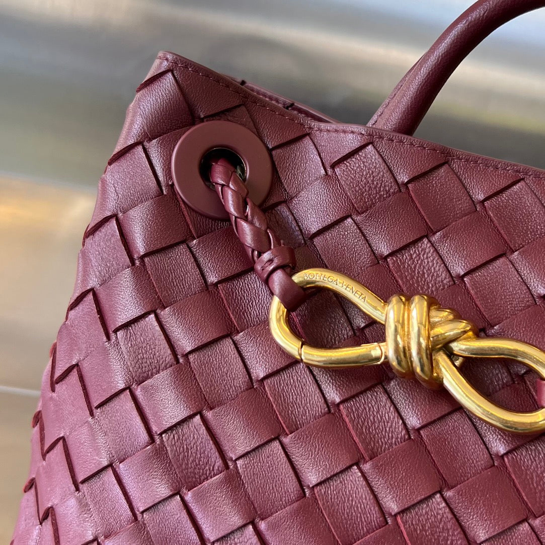 Bottega Veneta Small Andiamo 25cm Dark Red Lambskin Bag