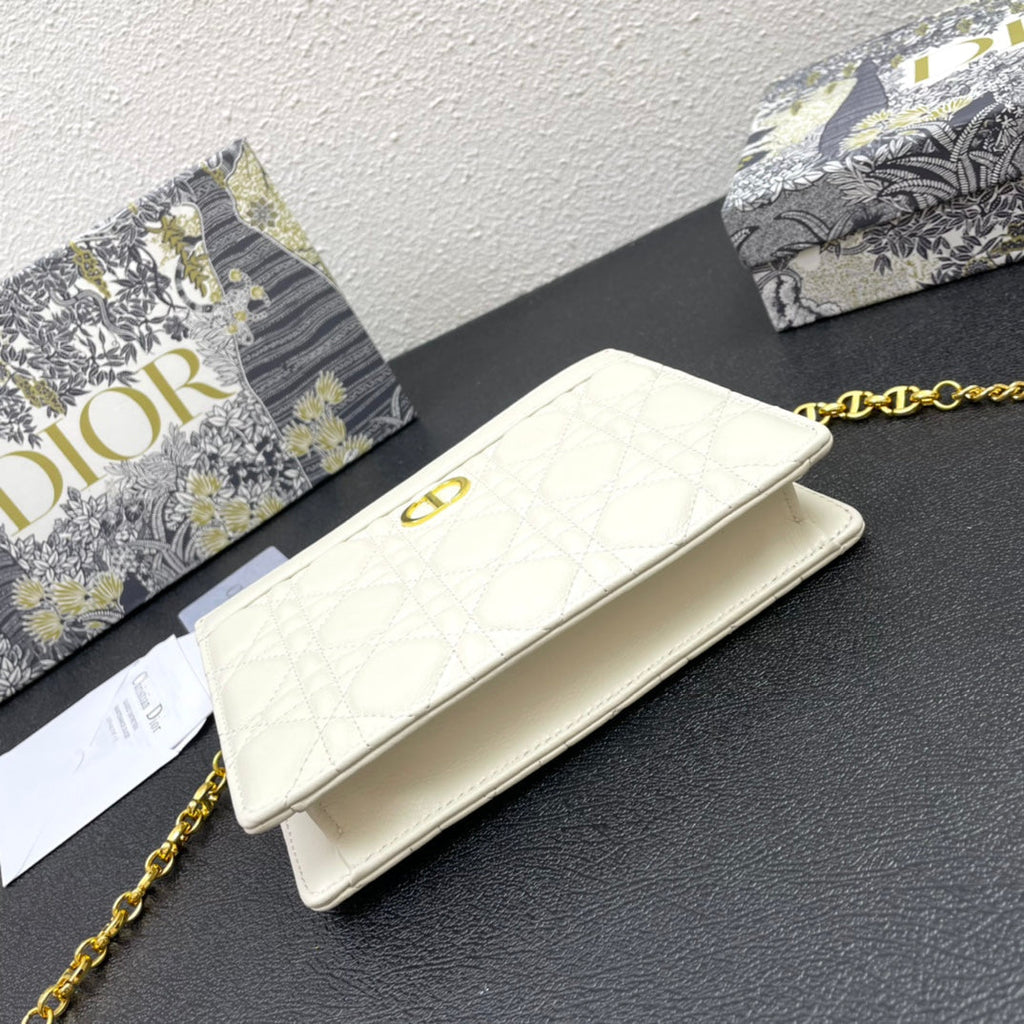 Dior Caro Pouch 19 Bag in White Calfskin