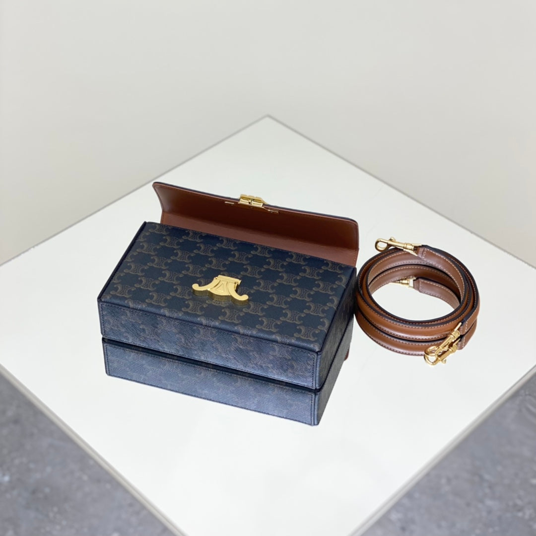 Celine Box Triomphe 22 Black Pattern Natural Calfskin Bag