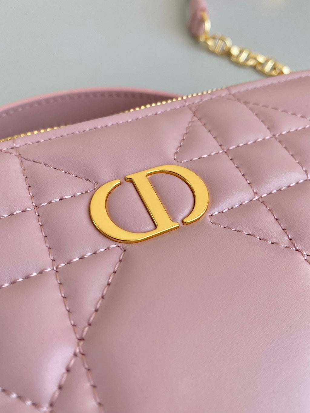 Dior Caro 18 Camera Bag in Light Pink Calfskin