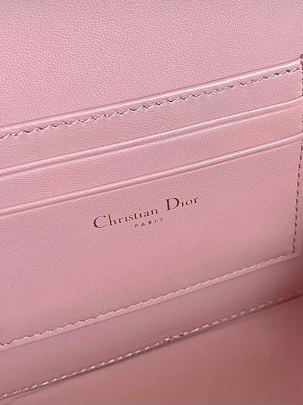 Dior Caro 18 Camera Bag in Light Pink Calfskin