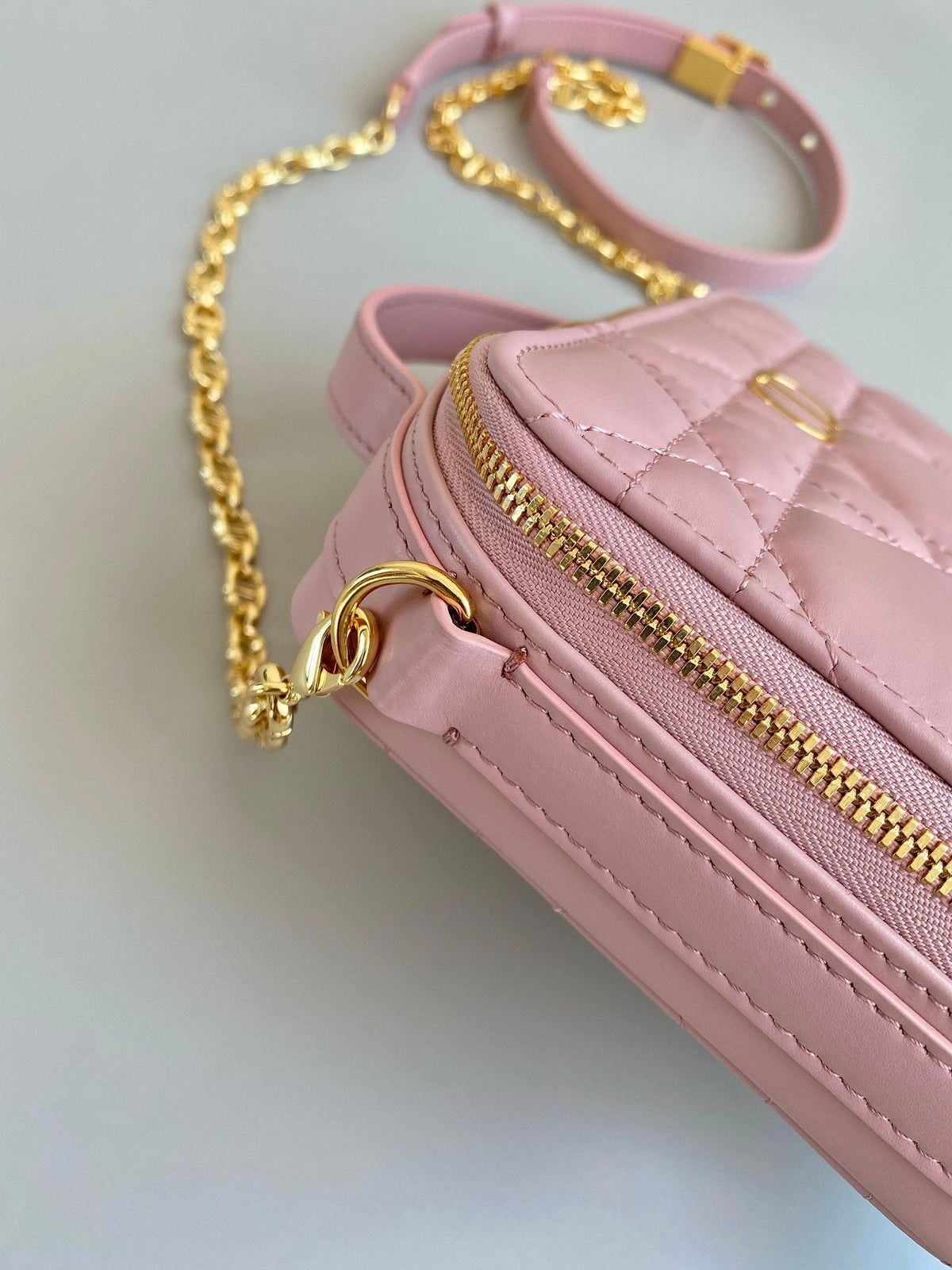 Dior Caro 18 Camera Bag in Light Pink Calfskin