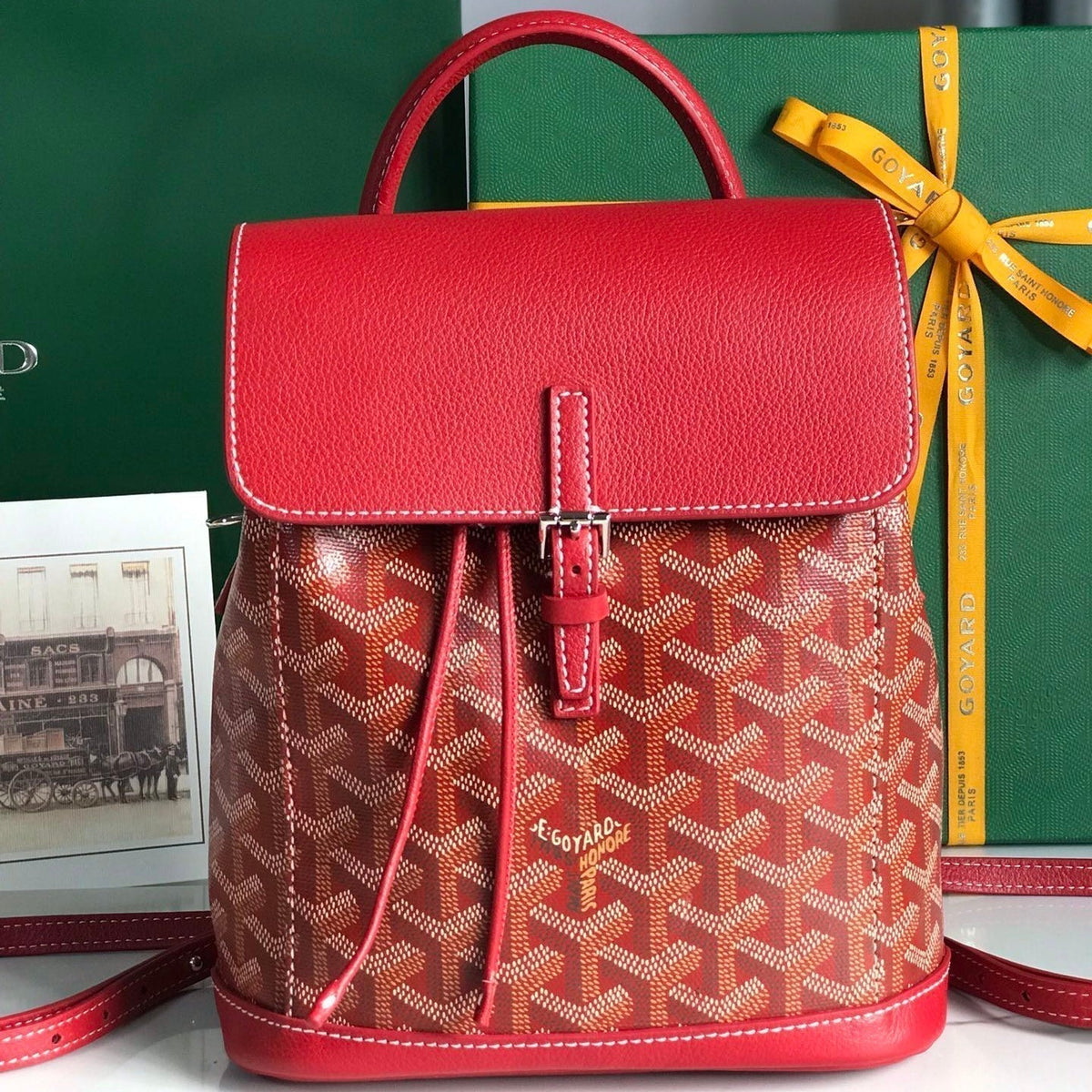 Goyard Alpin Mini Backpack 21 in Classic Red Lambskin and Goyardine Canvas