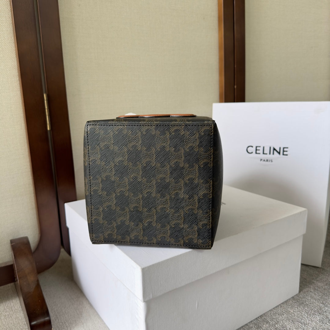 Celine Cube Bag 15 in Black Triomphe Canvas and Brown Calfskin