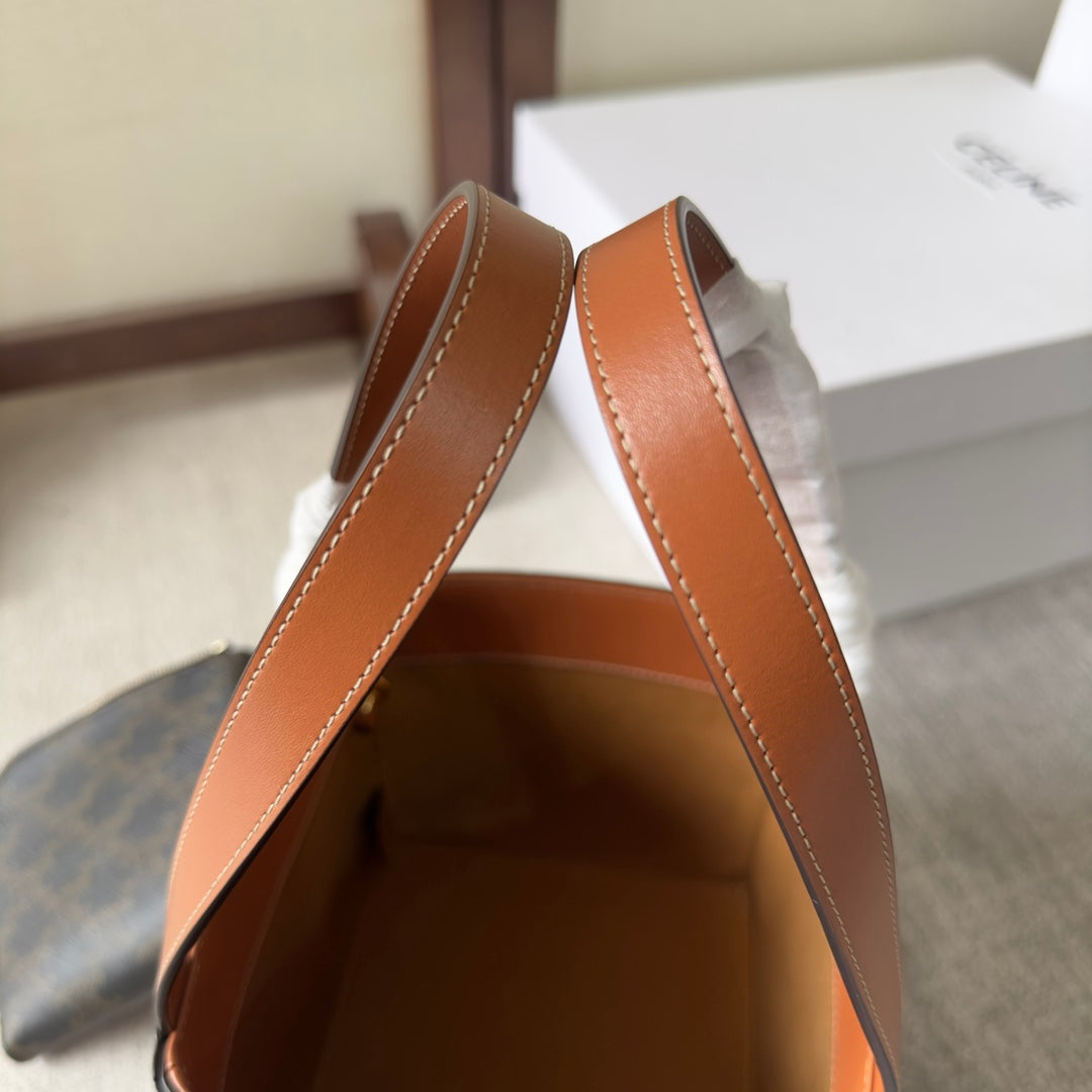 Celine Cube Bag 15 in Black Triomphe Canvas and Brown Calfskin