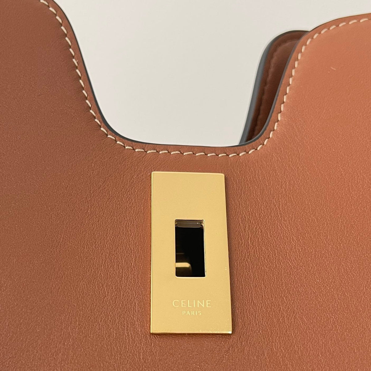Celine Cabas Triomphe 37 Cinnamon Brown in Smooth Calfskin Bag