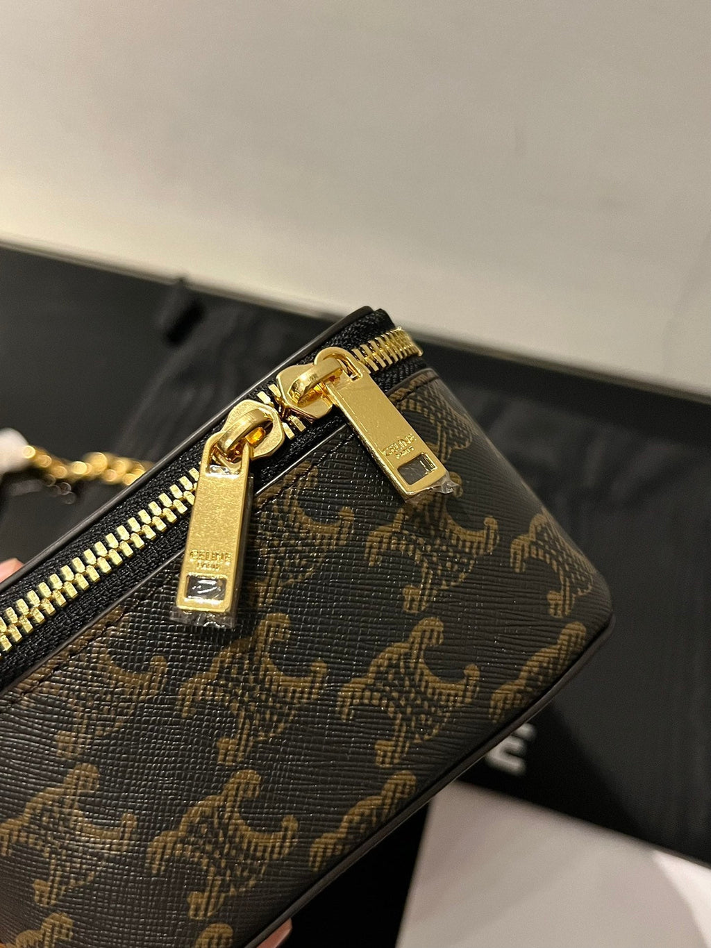 Celine Box Triphome 16 Printed Calskin Bag