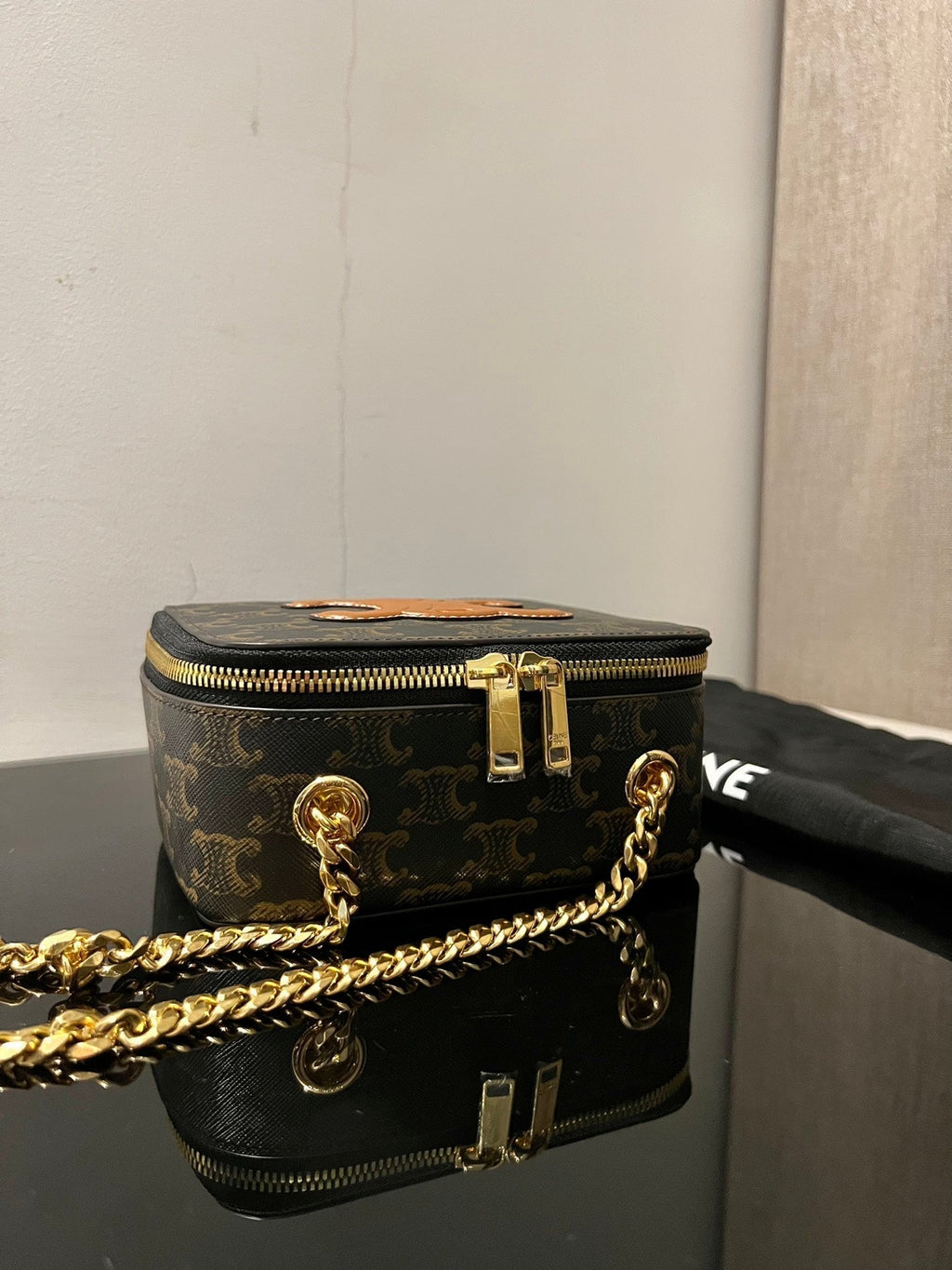 Celine Box Triphome 16 Printed Calskin Bag