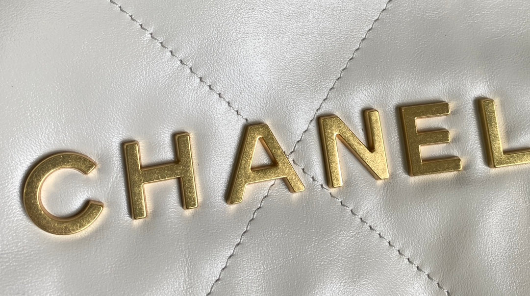 Chanel Hobo Mini 20cm White Lambskin Ghw