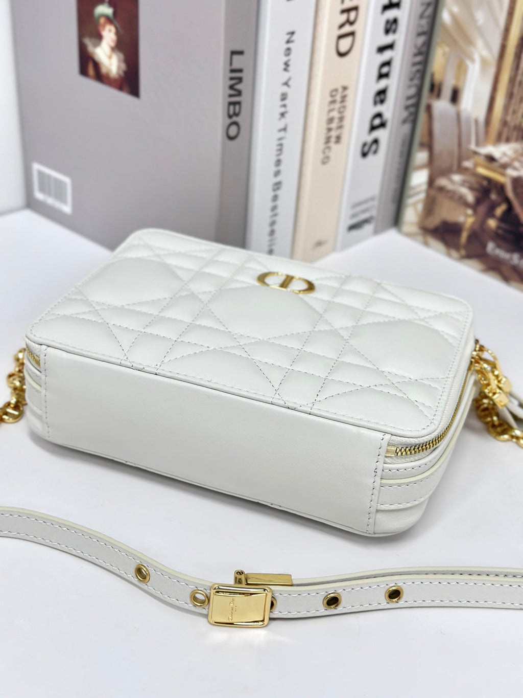 Dior Caro Box 19 in White Calfskin Bag