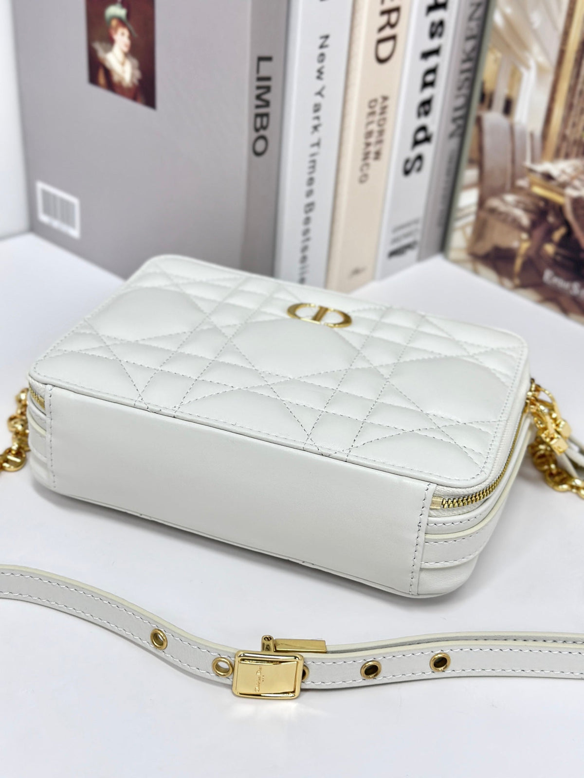 Dior Caro Box 19 in White Calfskin Bag