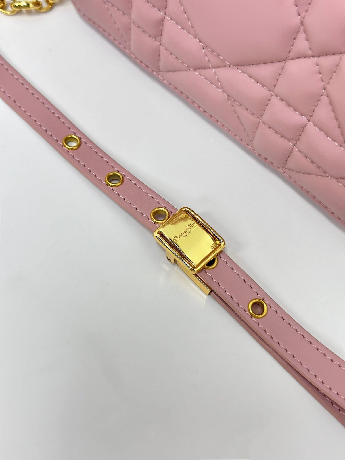 Dior Caro Box 19 in Light Pink Calfskin Bag