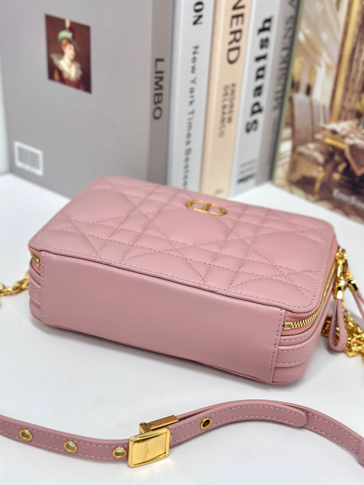 Dior Caro Box 19 in Light Pink Calfskin Bag