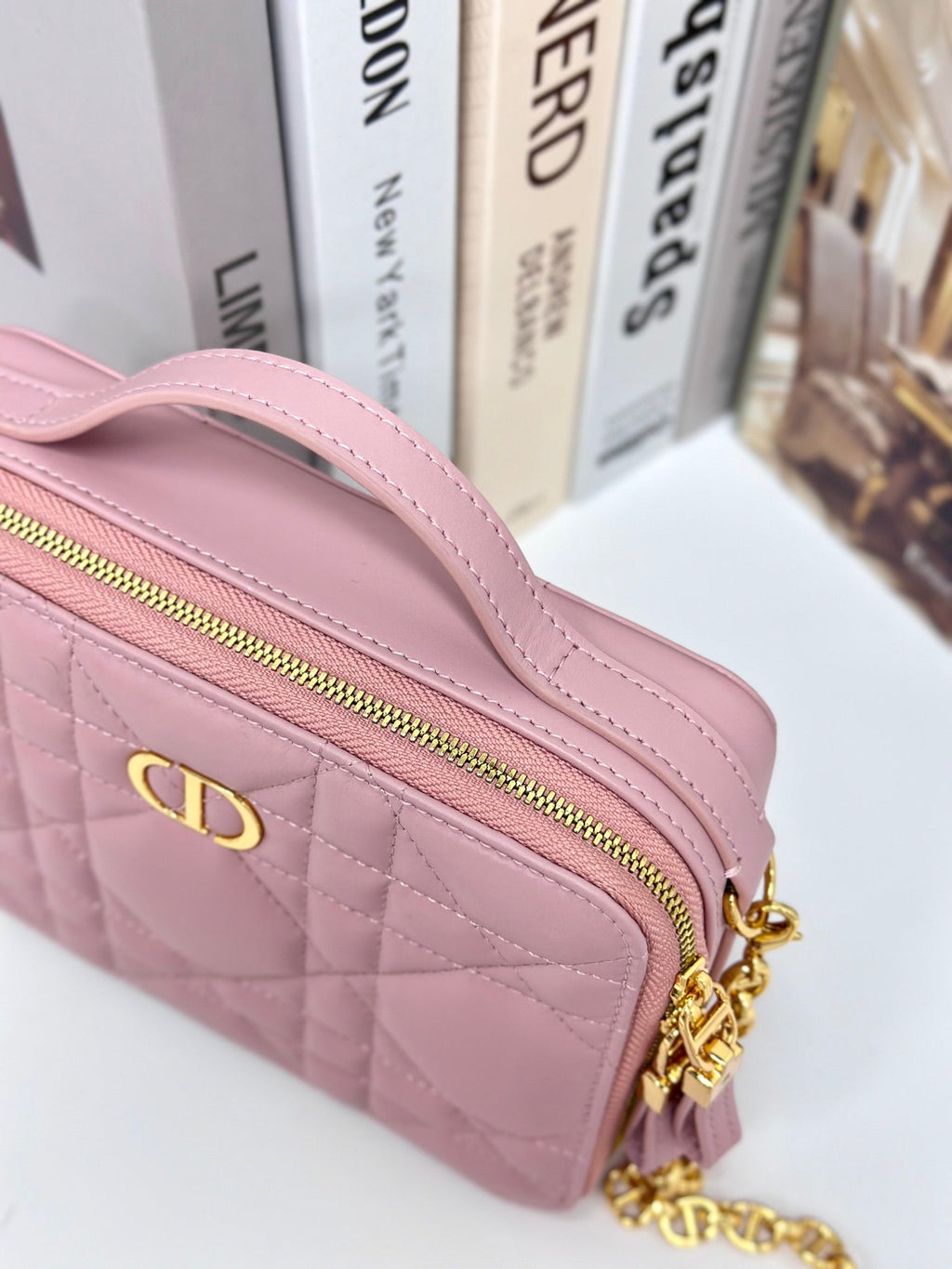 Dior Caro Box 19 in Light Pink Calfskin Bag
