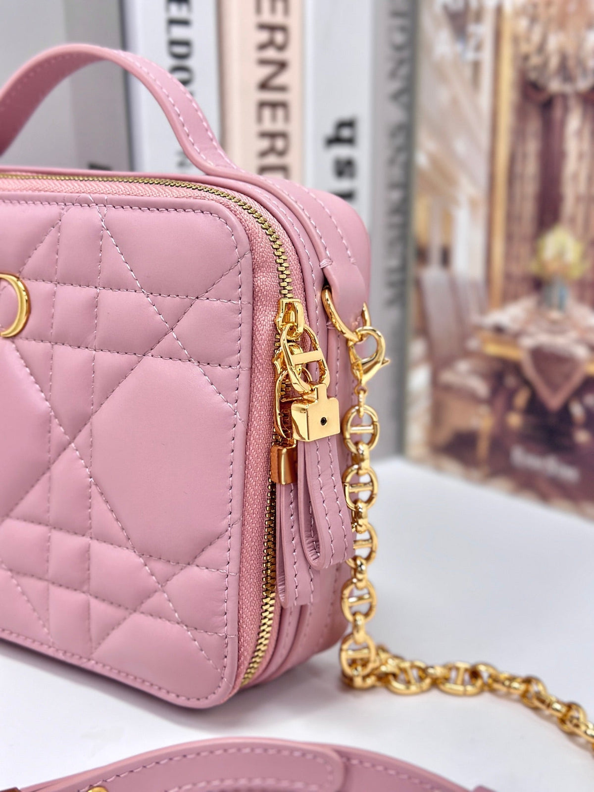 Dior Caro Box 19 in Light Pink Calfskin Bag
