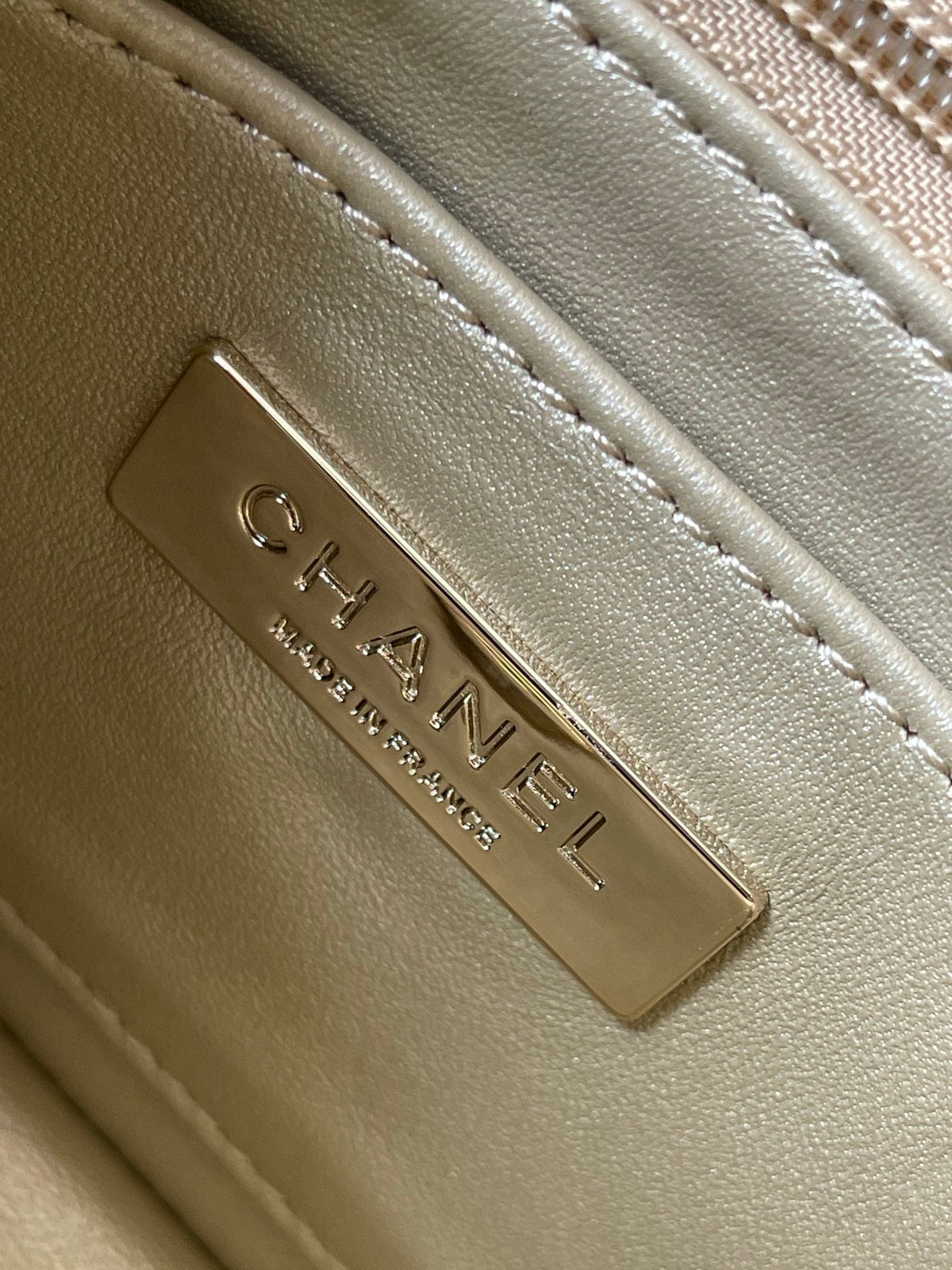 Chanel Mini 19 Flap Bag in Golden Metallic Calfskin