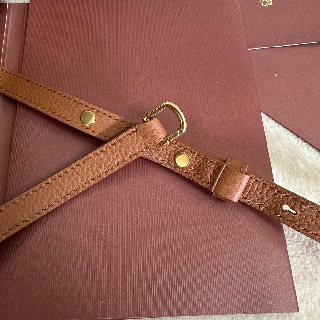 Loro Piana Extra Pocket L19 in Bronze Brown Grained Calfskin with Gold Hardware Bag
