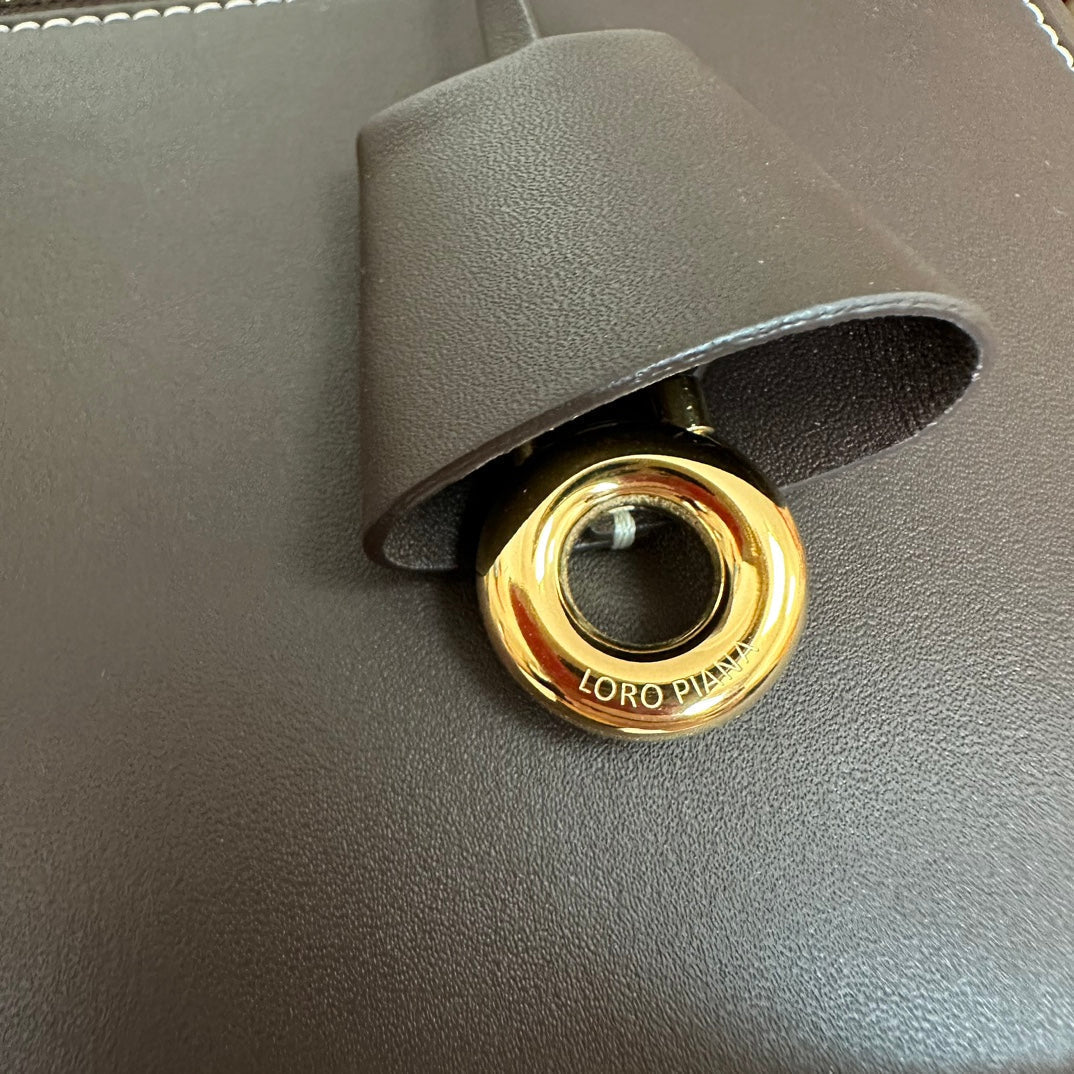 Loro Piana Extra Bag L27 in Chocolate Brown Smooth Calfskin with Gold Hardware