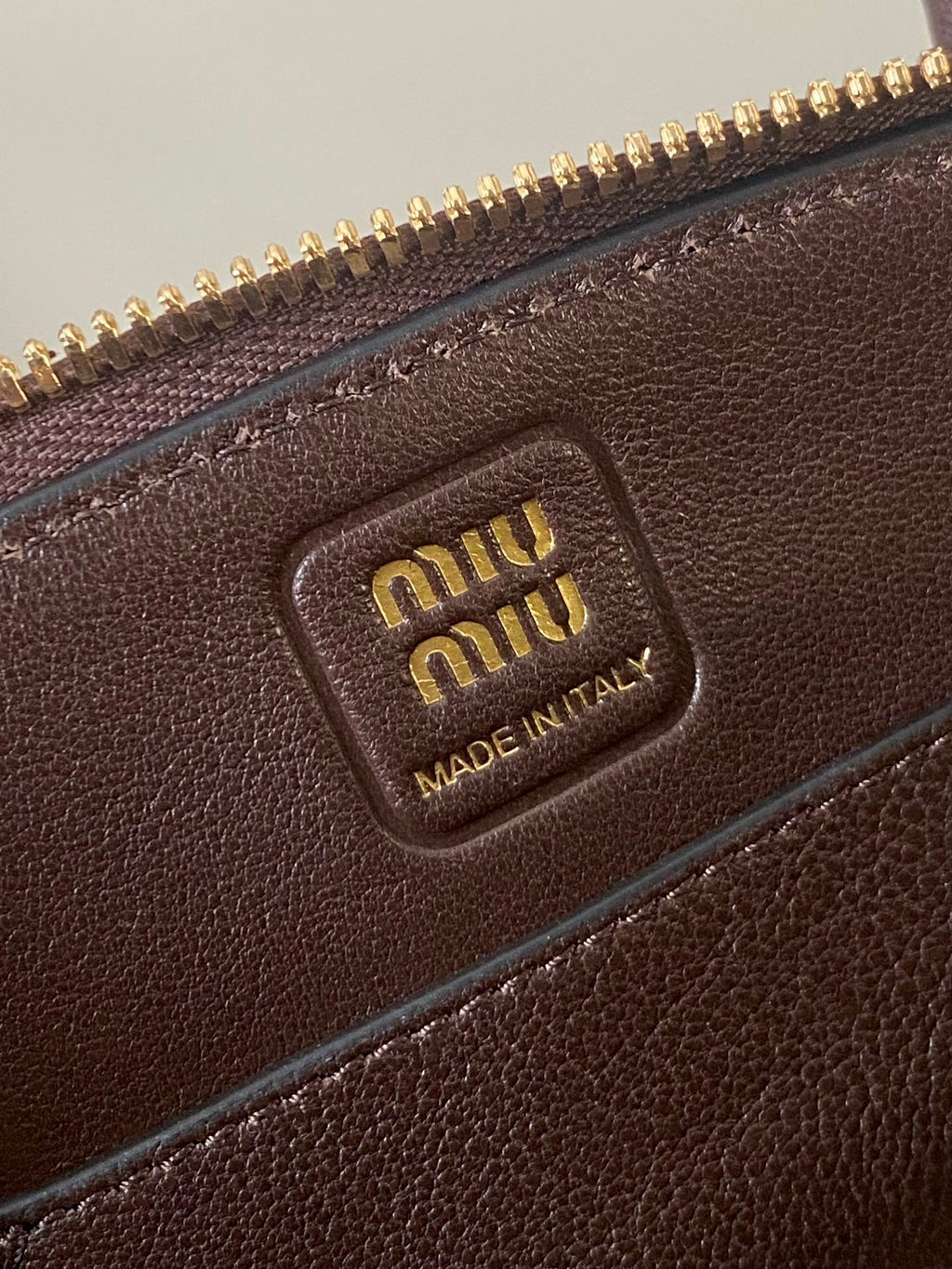 Aventure Nappa Mini Bag 21 in Brunette Brown Calfskin Gold Hardware