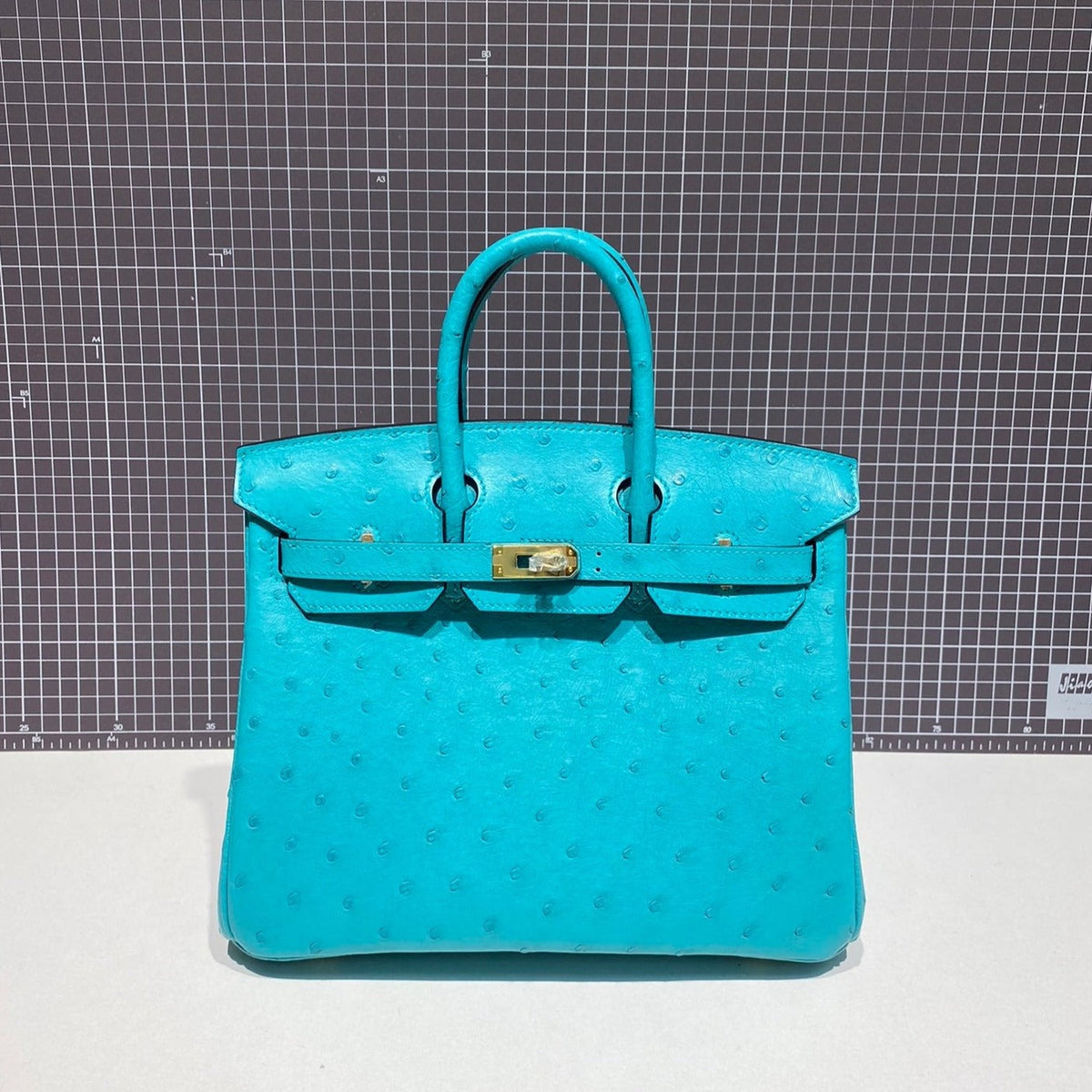 Hermes Birkin 30cm Cloud Blue Ostrich Leather Gold Hardware Bag