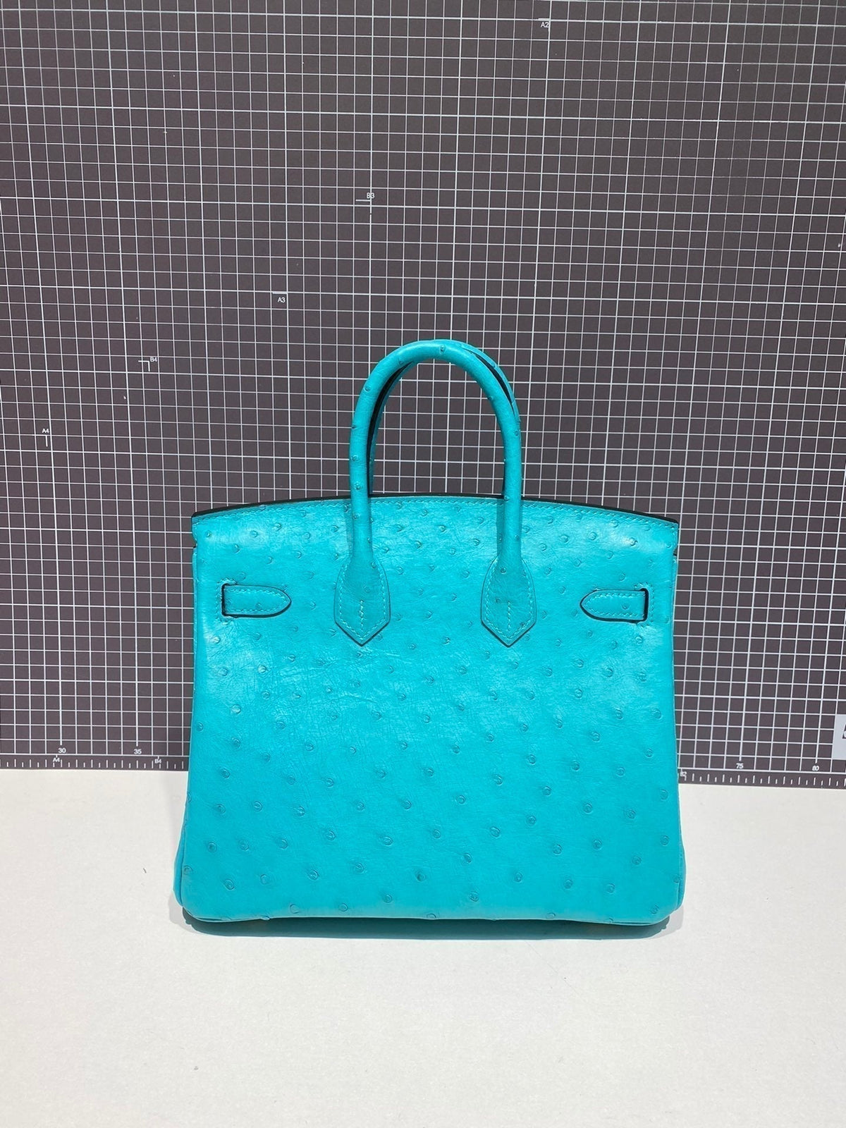 Hermes Birkin 30cm Cloud Blue Ostrich Leather Gold Hardware Bag