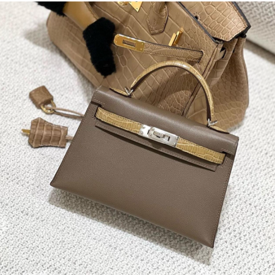 Hermes Kelly 25 Etoupe Epsom Calfskin Mix Crocodile Skin Silver Hardware Bag