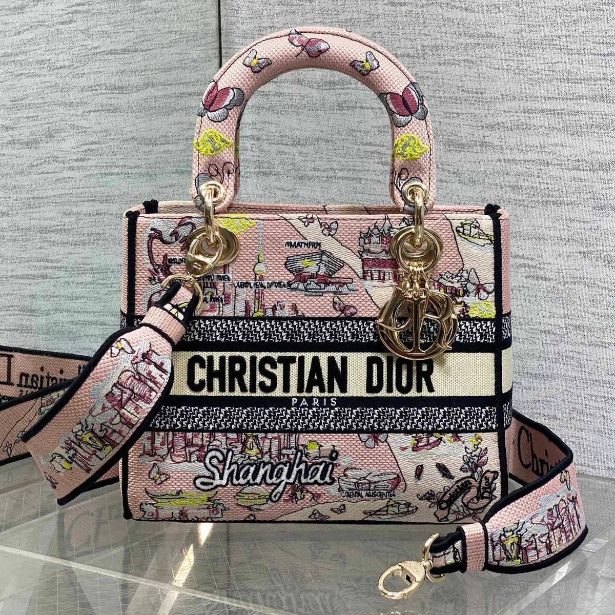 Dior 25S Small Lady D-Lite Bag 24 in Pink Canvas Butterfly