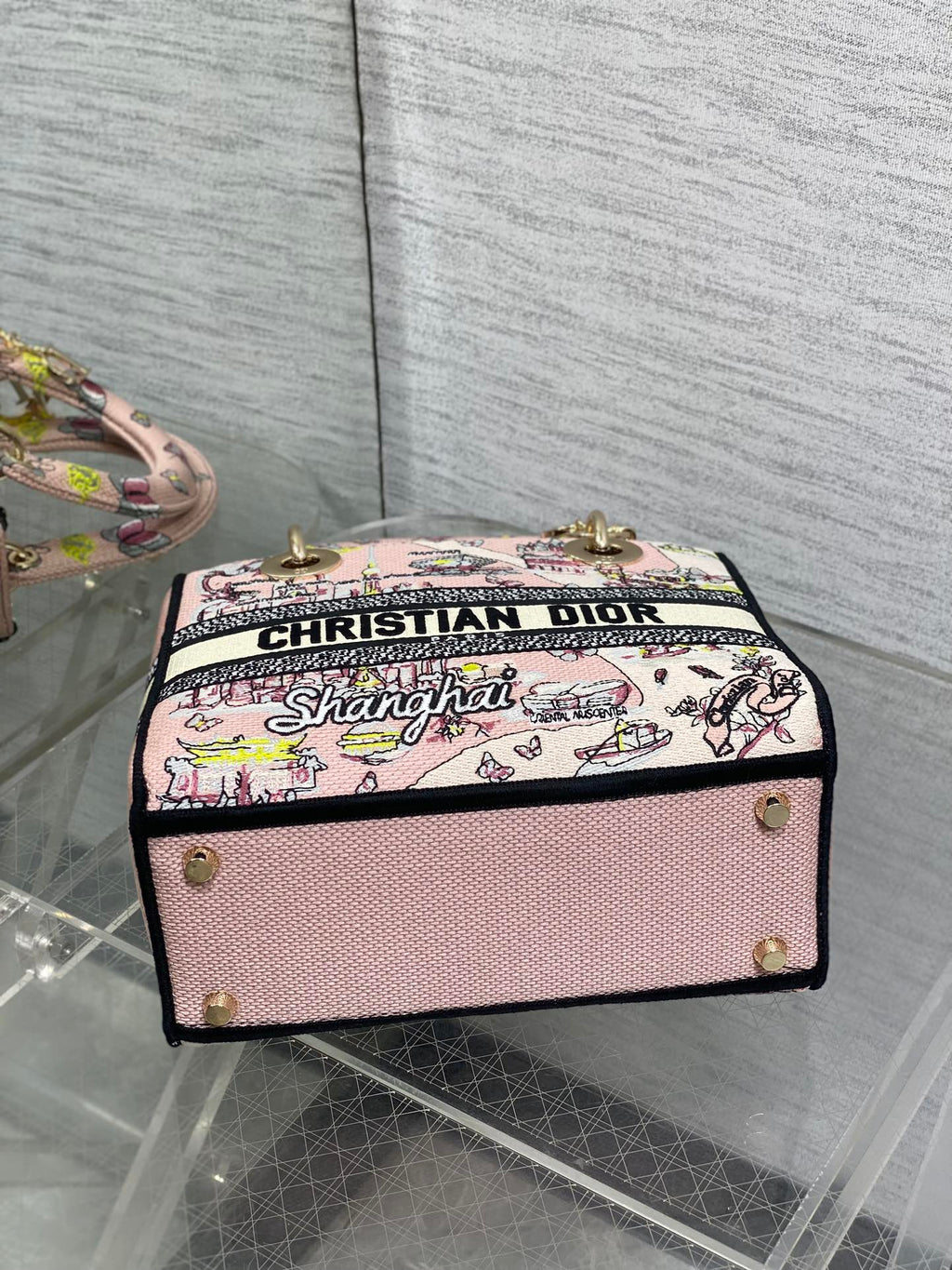 Dior 25S Small Lady D-Lite Bag 24 in Pink Canvas Butterfly