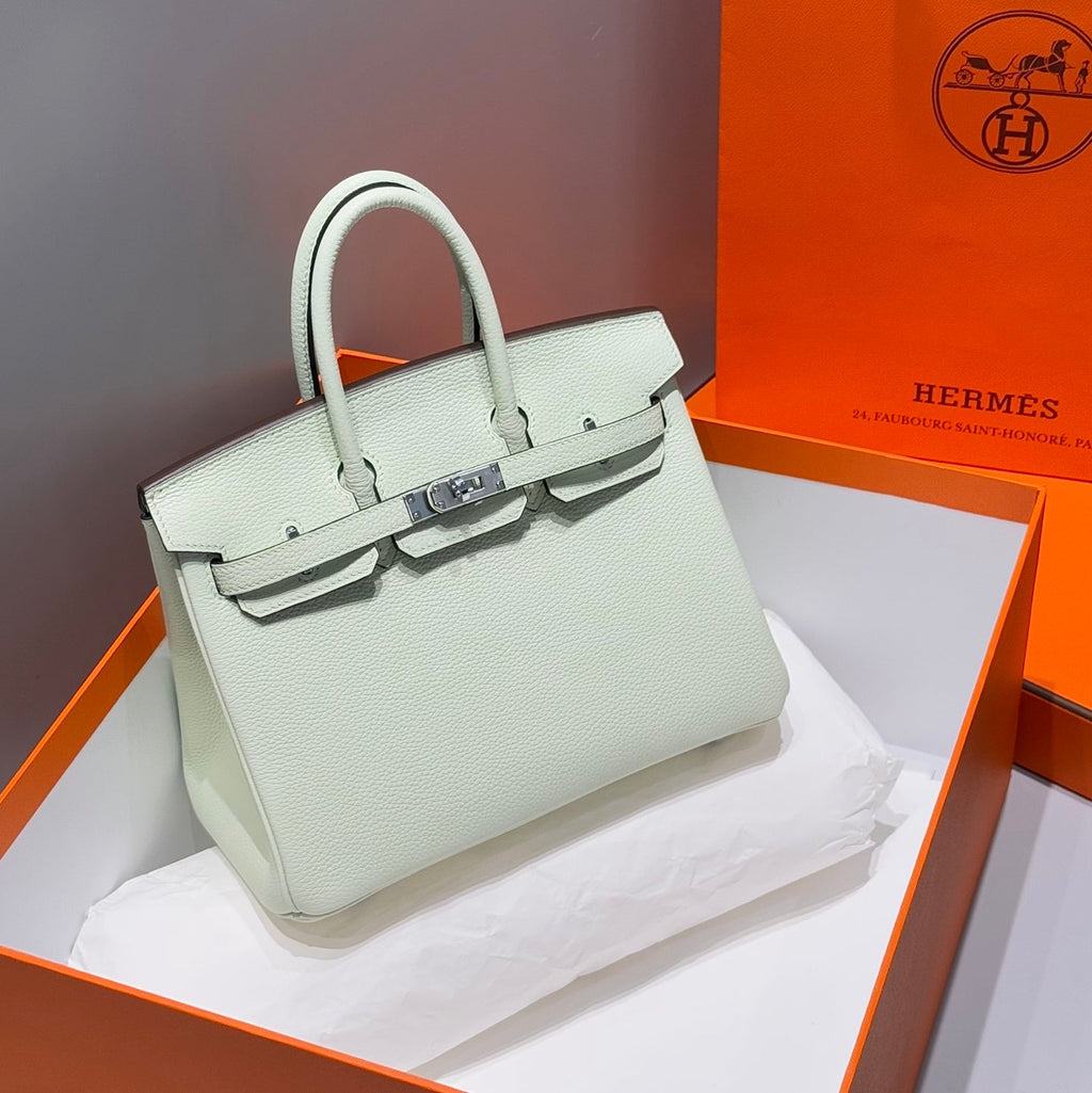 Hermes 25S Medium Birkin 25 in Light Mint Green Calfskin Silver Hardware Bag