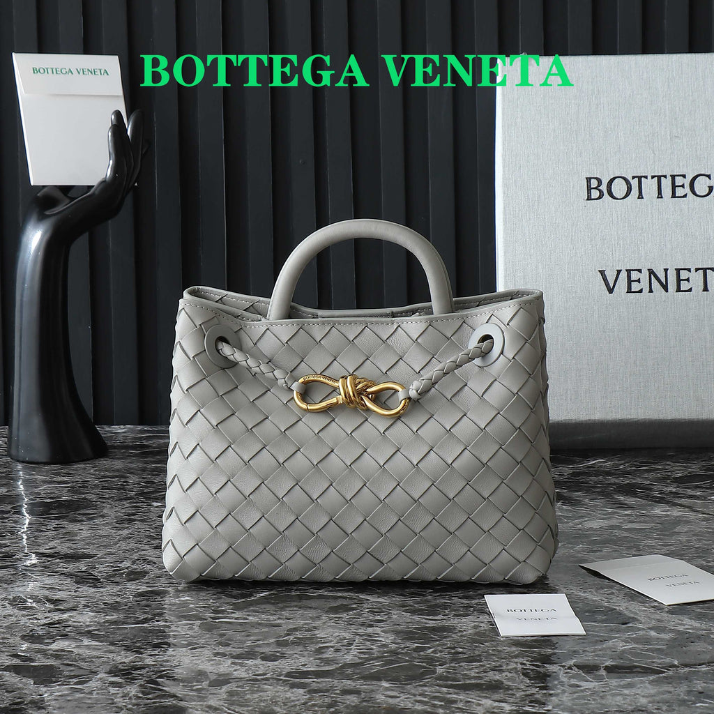 Bottega Veneta Small Andiamo 25cm Grey Lambskin Bag