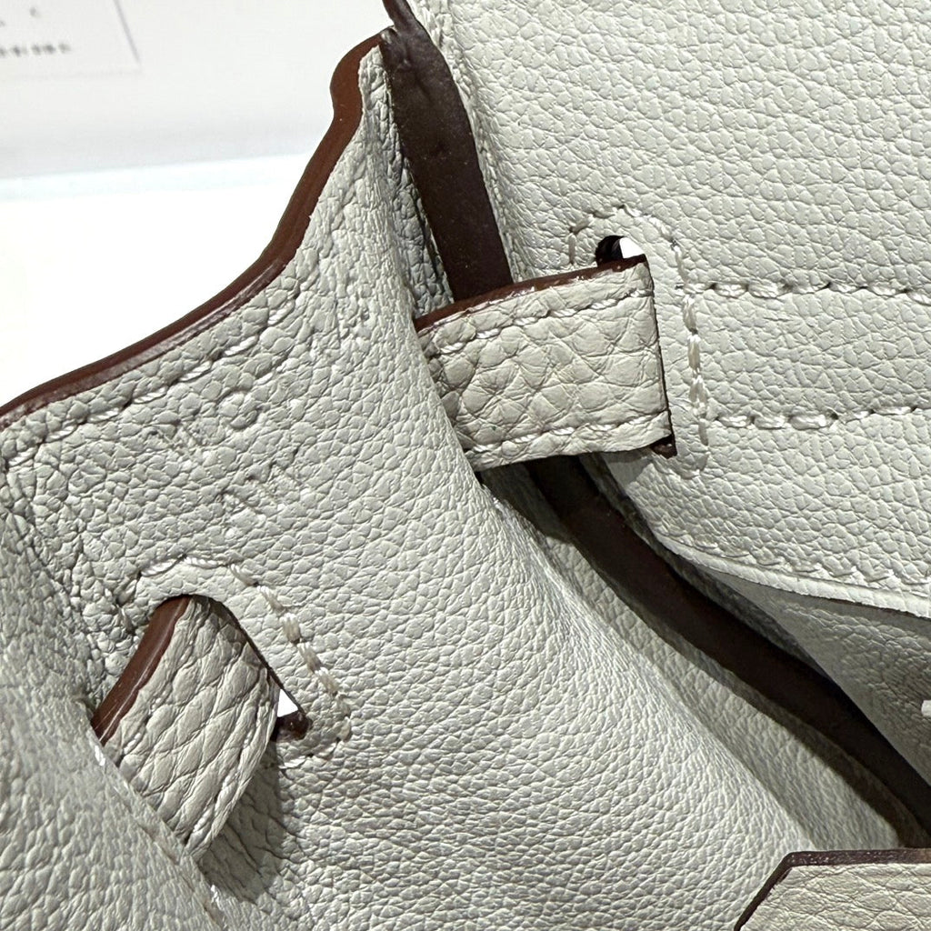 Hermes Birkin 25cm in Cream Togo Leather Silver Hardware Bag