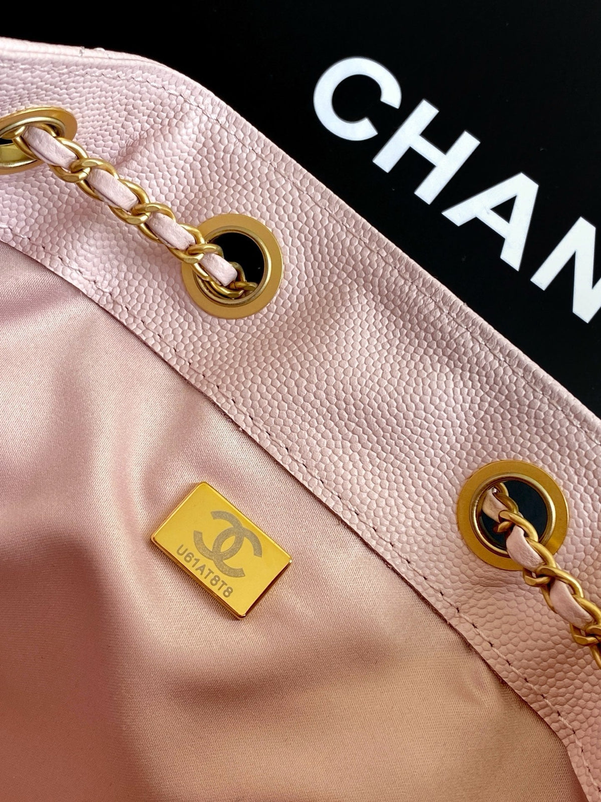 Chanel 25S Hobo Bag 30 in Light Pink Caviar with Gold Hardware